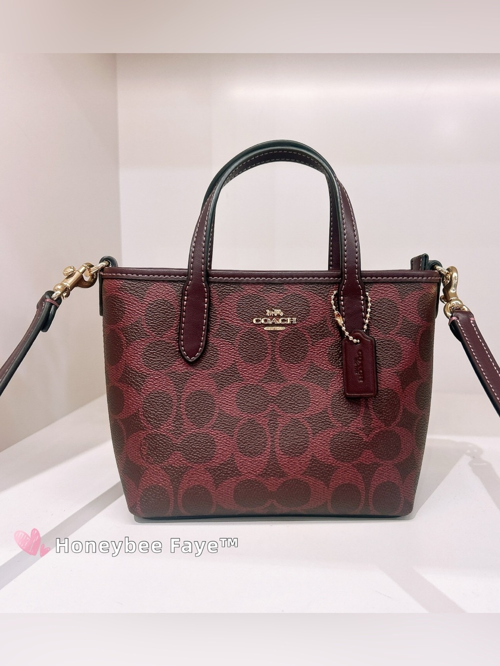 COACH City Mini Tote Bag In Signature Canvas cw032